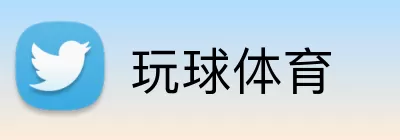 玩球体育 Logo
